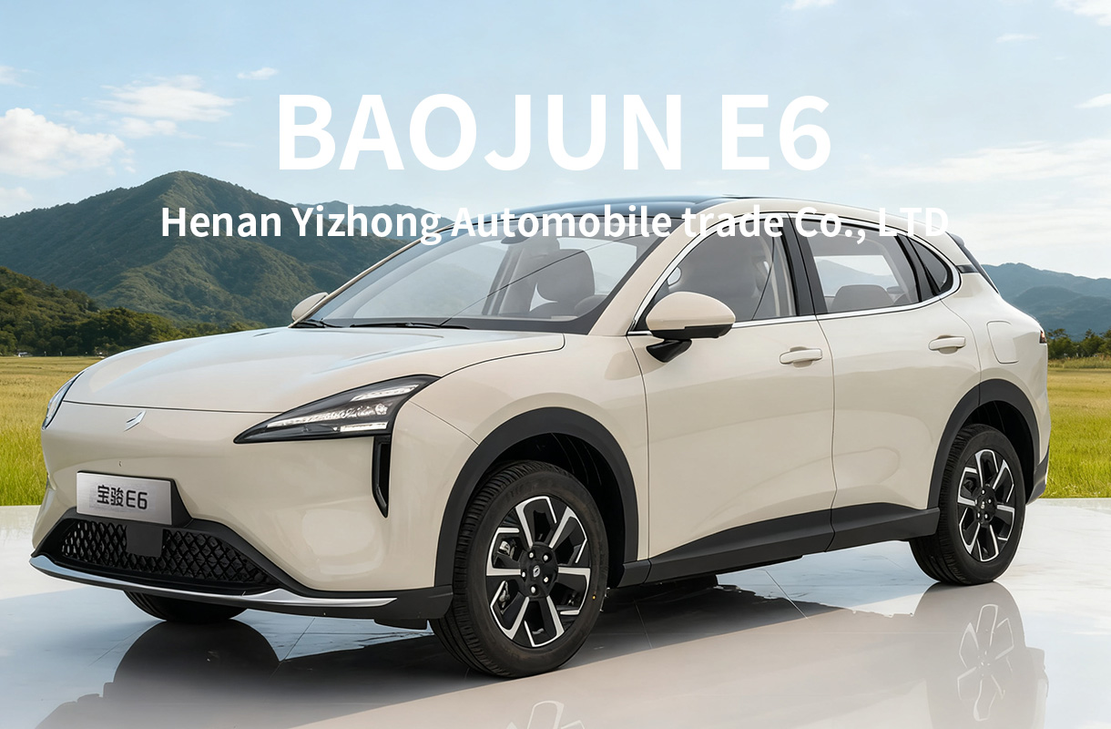 BAOJUN E6(7)