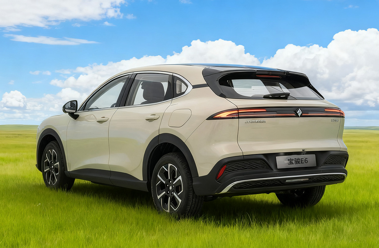 BAOJUN E6(8)