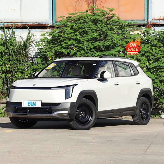 DONGFENG Nammi 06