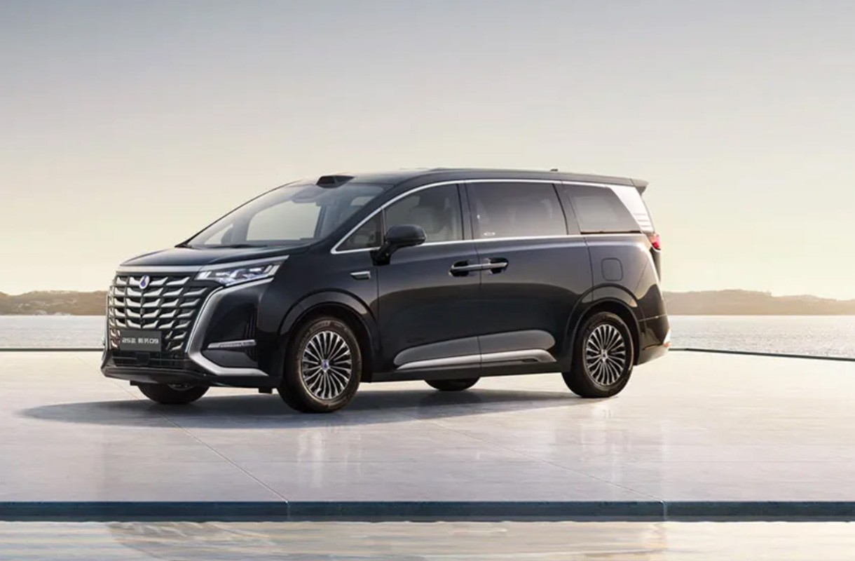 Denza D9 2025 PHEV(8)