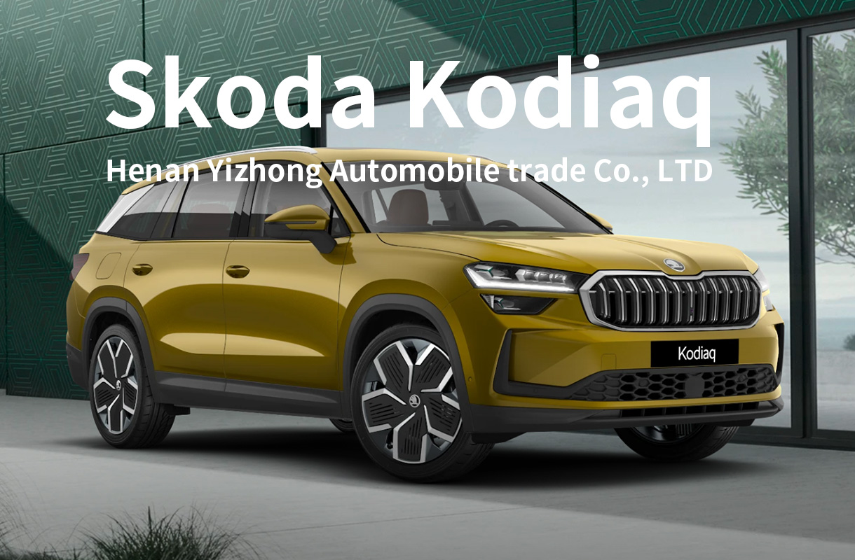 Skoda Kodiaq(12)