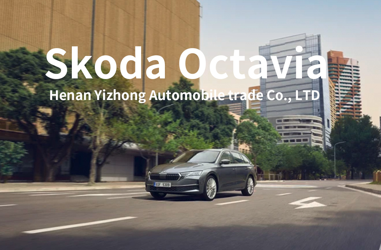 Skoda Octavia(7)