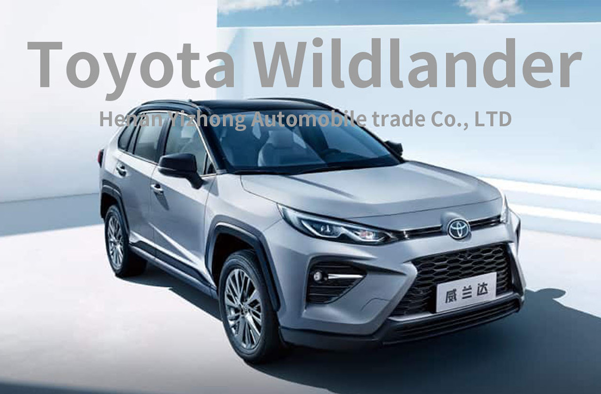 Toyota Wildlander(12)